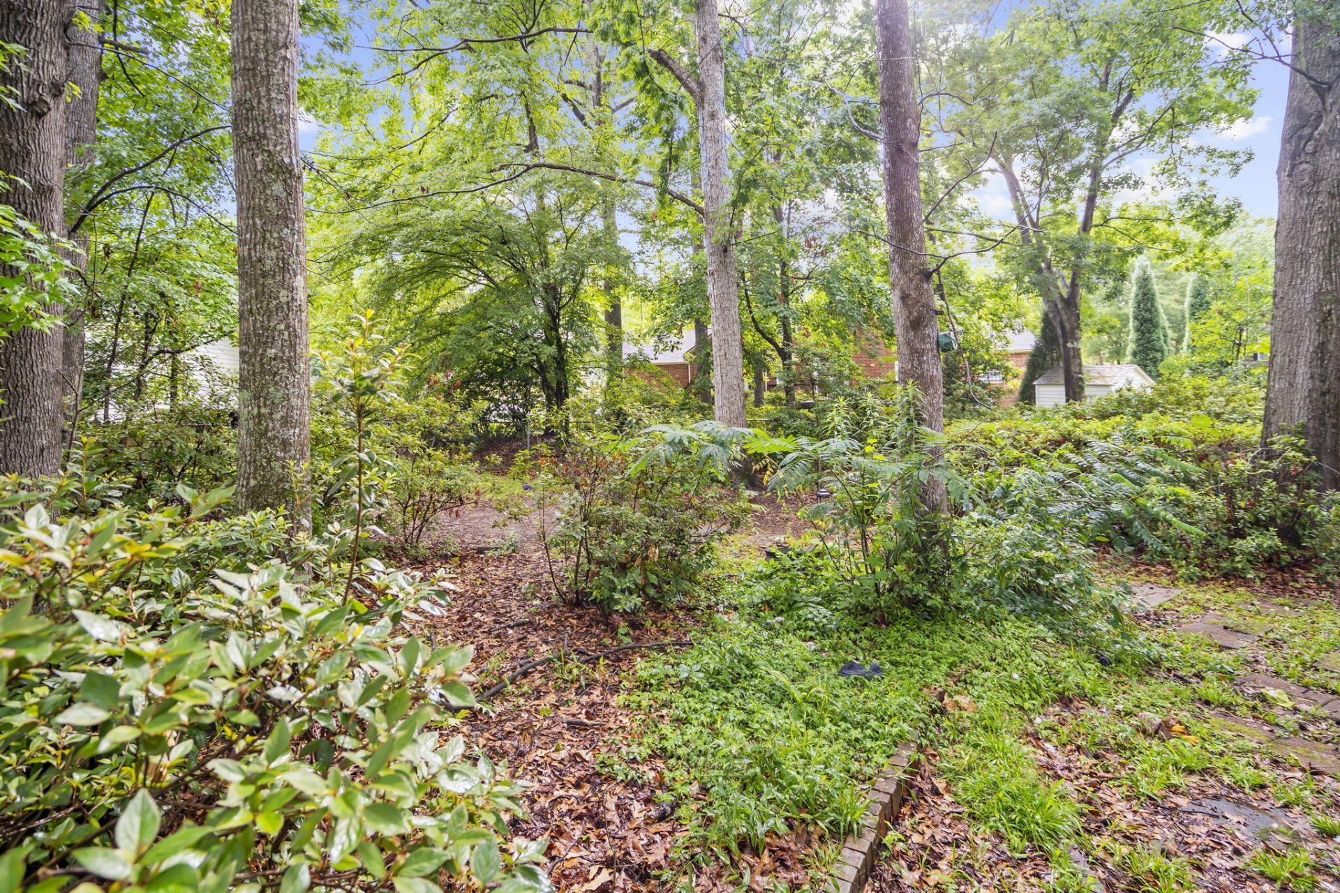 114 Ashley Hill Drive Photo 47