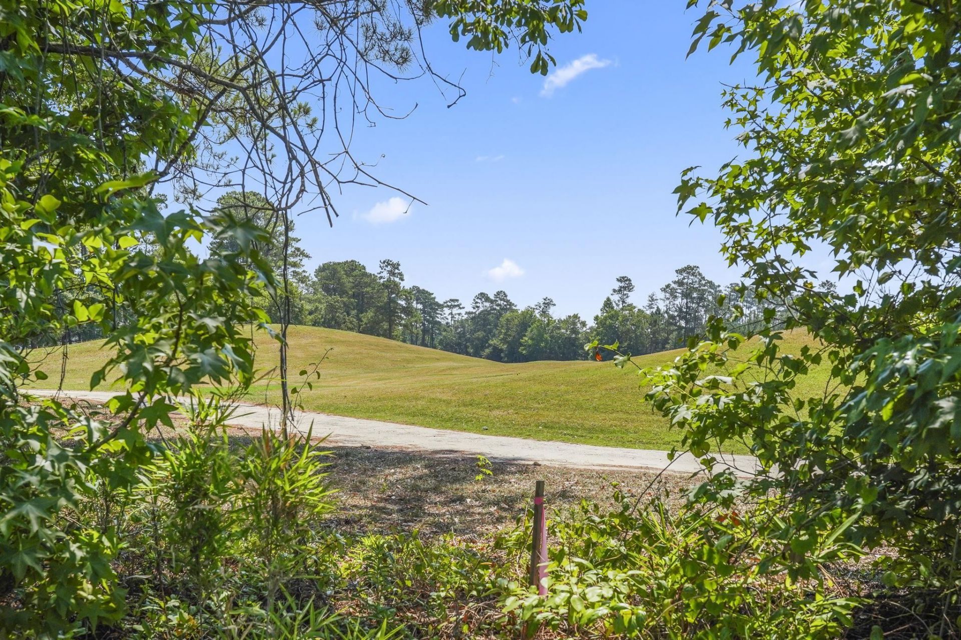 398 Sun Colony Blvd.  Photo 35