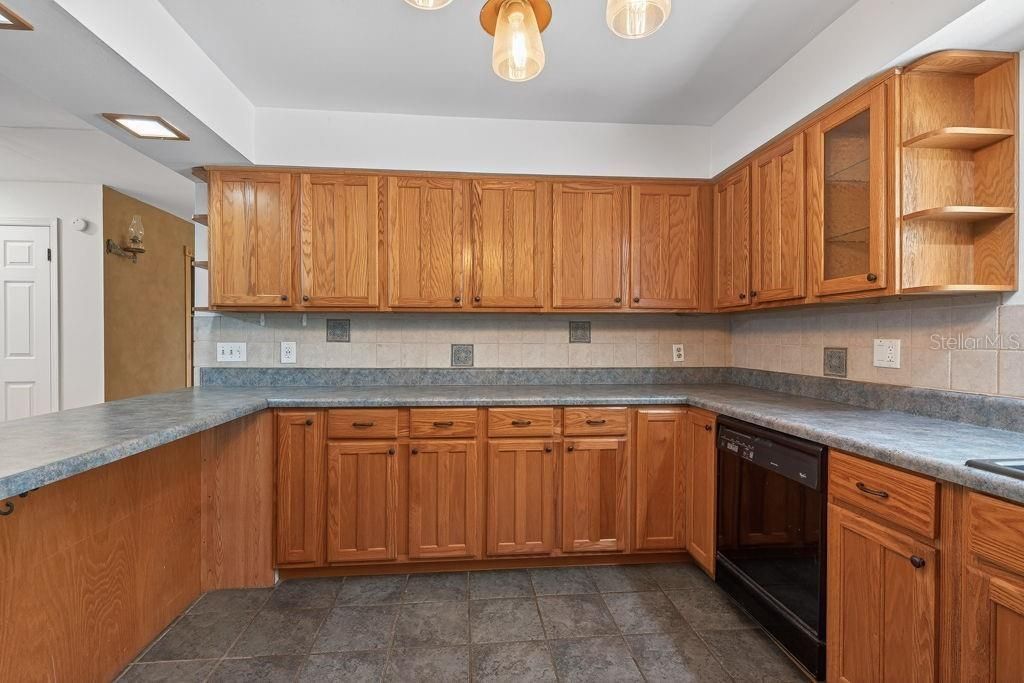 18410 30th Street, Lutz, FL 33559 Photo