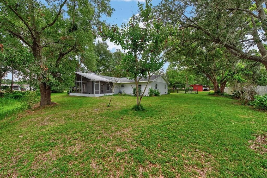 18410 30th Street, Lutz, FL 33559 Photo