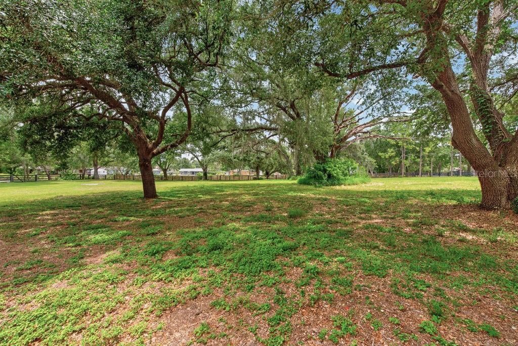 18410 30th Street, Lutz, FL 33559 Photo