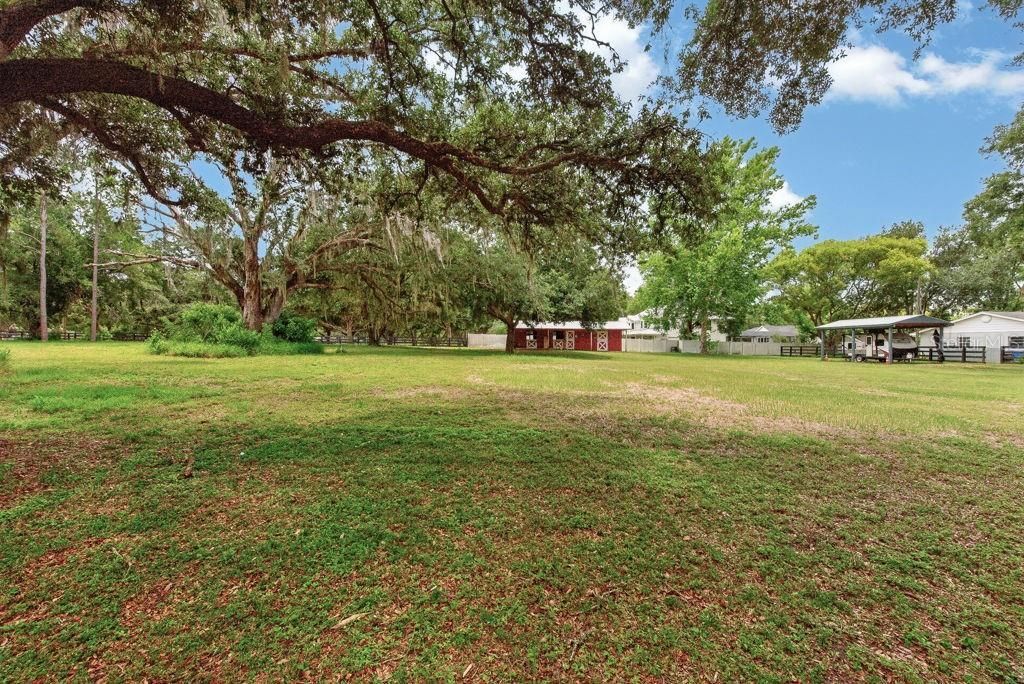 18410 30th Street, Lutz, FL 33559 Photo
