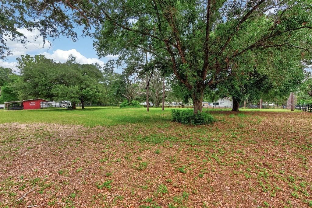 18410 30th Street, Lutz, FL 33559 Photo