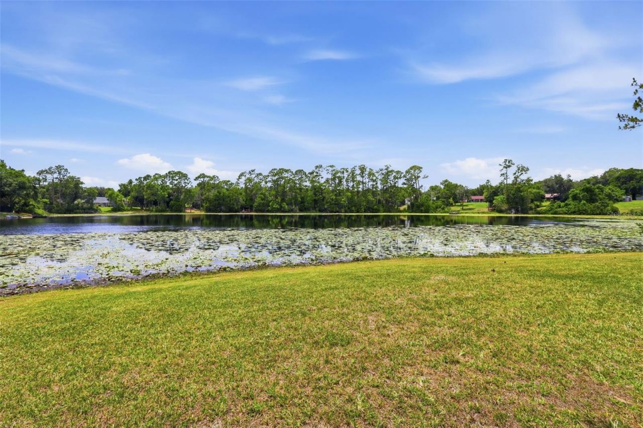 548 E Lehigh Drive, Deltona, FL 32738 Photo