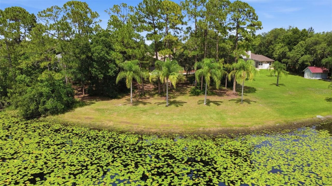 548 E Lehigh Drive, Deltona, FL 32738 Photo