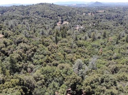 Bowman Rd, Pine Grove, CA 95665 Photo