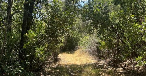 Bowman Rd, Pine Grove, CA 95665 Photo