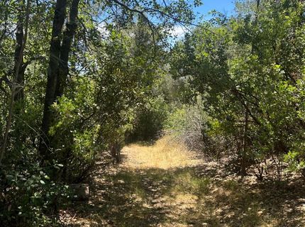 Bowman Rd, Pine Grove, CA 95665 Photo