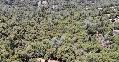 Bowman Rd, Pine Grove, CA 95665 Photo