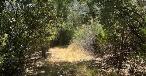 Bowman Rd, Pine Grove, CA 95665 Photo