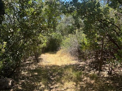 Bowman Rd, Pine Grove, CA 95665 Photo