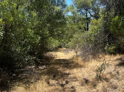 Bowman Rd, Pine Grove, CA 95665 Photo