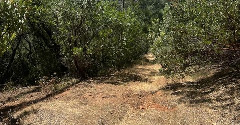 Bowman Rd, Pine Grove, CA 95665 Photo
