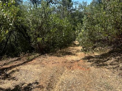 Bowman Rd, Pine Grove, CA 95665 Photo
