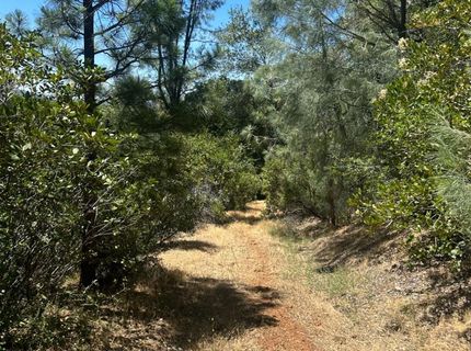 Bowman Rd, Pine Grove, CA 95665 Photo