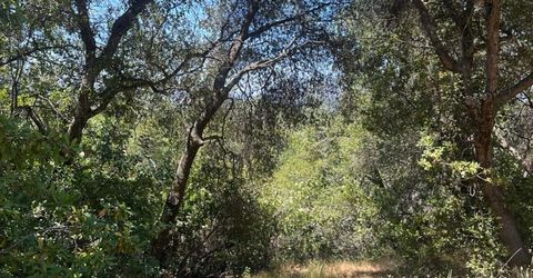 Bowman Rd, Pine Grove, CA 95665 Photo