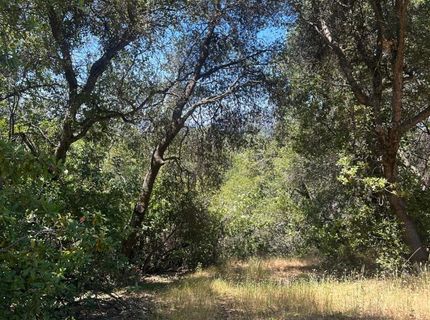Bowman Rd, Pine Grove, CA 95665 Photo