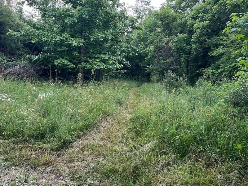 2450 Vance Road, Sardinia, OH 45171 Photo 1