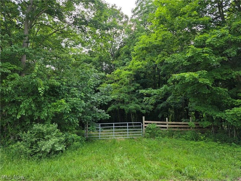Greenwich Rd / Jamison Rd , Lodi, OH 44254 Photo 1