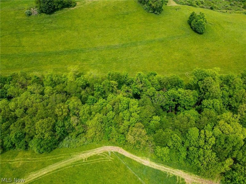 County Road 407 , Millersburg, OH 44654 Photo 15