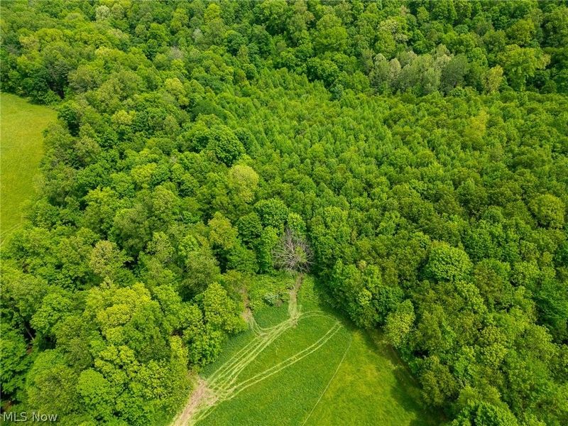 County Road 407 , Millersburg, OH 44654 Photo 16