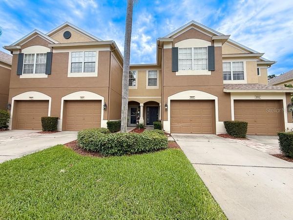 8505 SANDY BEACH STREET , TAMPA, FL 33634