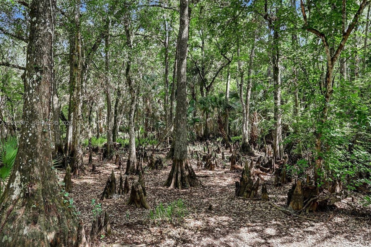 2291 Secretariat Drive , Labelle, FL 33935 Photo