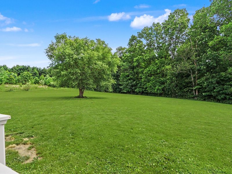 1393 Wittmer Road , Mansfield, OH 44903 Photo 69