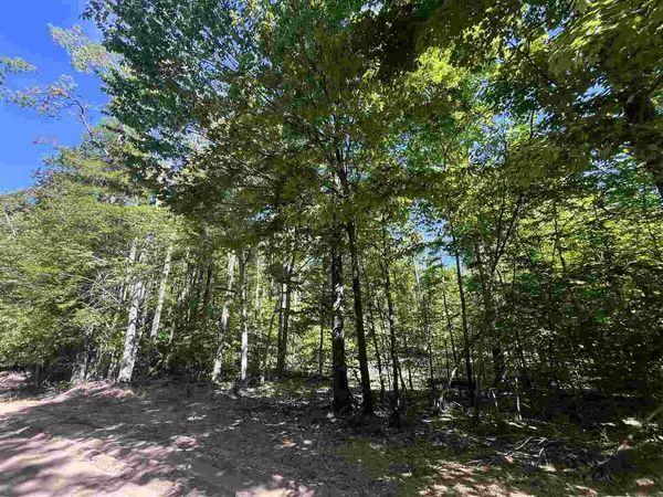 TBD Matz Road, Boyne Falls, MI 49713