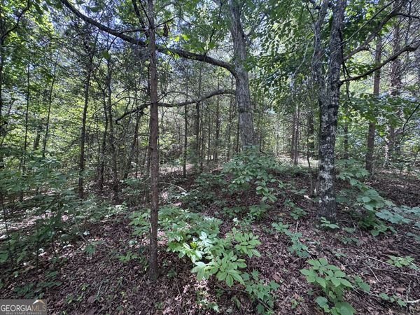 0 Sunshine Ridge, Toccoa, GA 30577