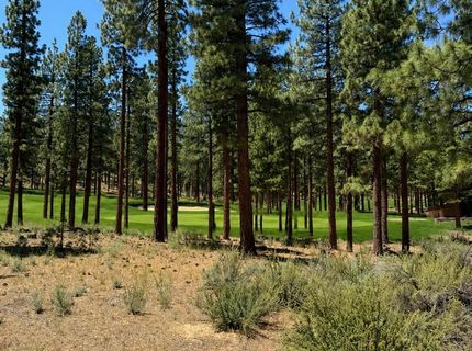 195 Walton Toll Road, Lot #210, Carson City, NV 89705 Photo