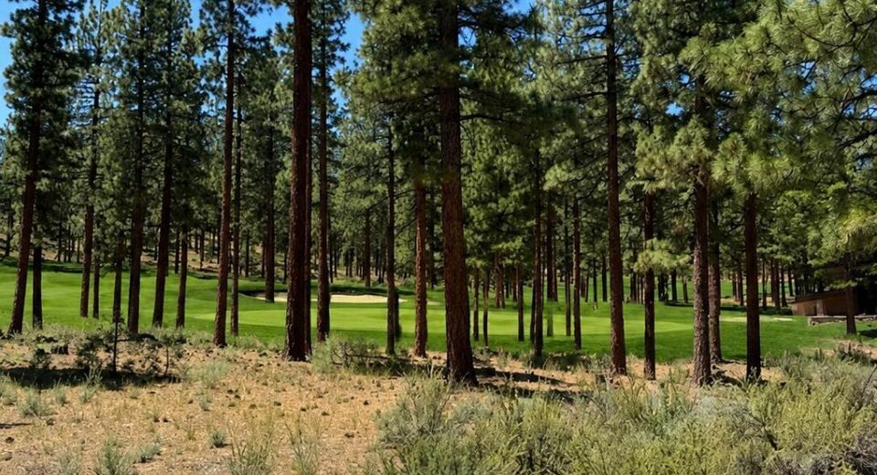 195 Walton Toll Road, Lot #210, Carson City, NV 89705 Photo