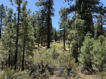 195 Walton Toll Road, Lot #210, Carson City, NV 89705 Photo
