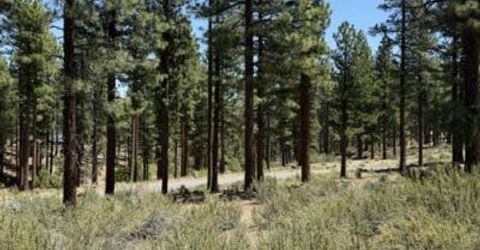 195 Walton Toll Road, Lot #210, Carson City, NV 89705 Photo