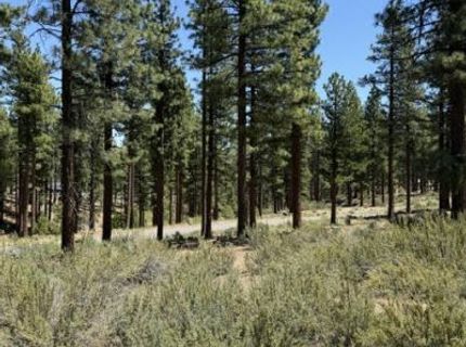 195 Walton Toll Road, Lot #210, Carson City, NV 89705 Photo