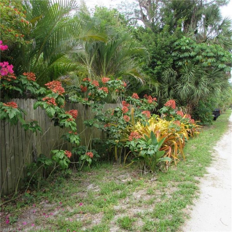 7697 Beach Daisy Ln , Bokeelia, FL 33922 Photo