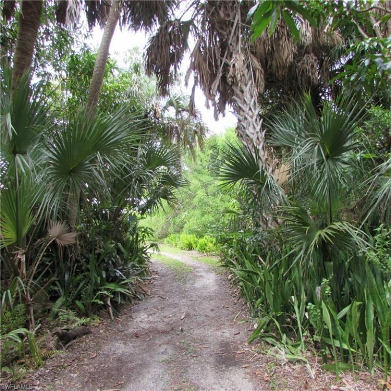 7697 Beach Daisy Ln , Bokeelia, FL 33922 Photo