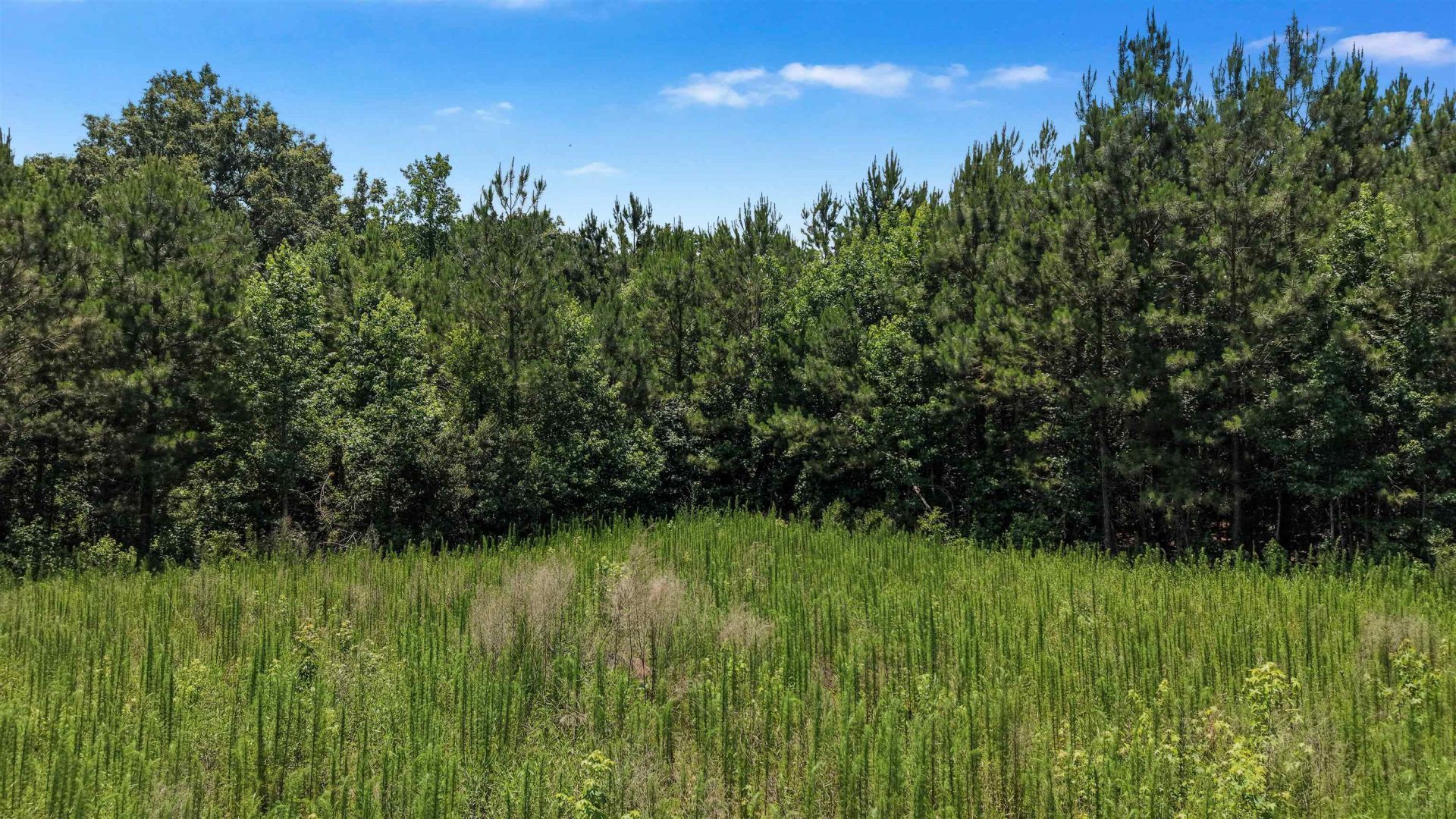 Tbd Rose Hill Rd. Photo 17