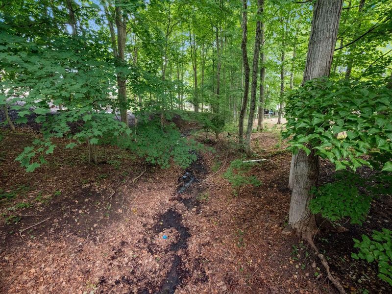 10748 Preston Way, Powell, OH 43065 Photo 8