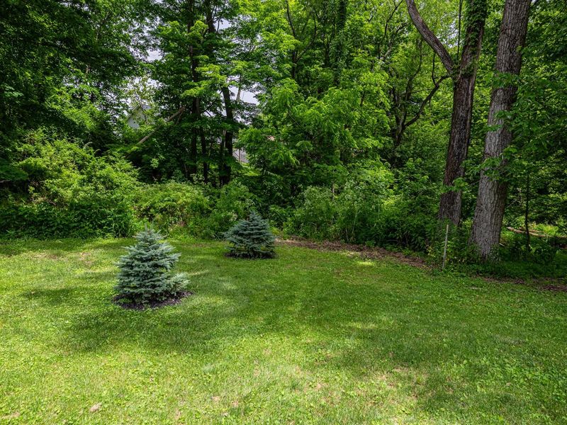 229 Green Valley Drive, Howard, OH 43028 Photo 38