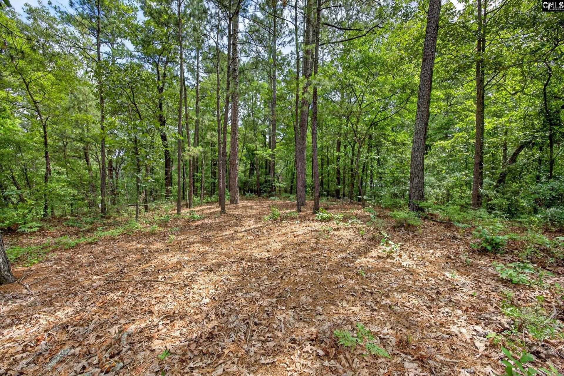 213 Lakeview Road  Photo 43