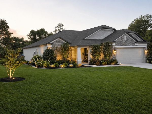11392 MISSISSIPPI KITE AVENUE, BROOKSVILLE, FL 34614