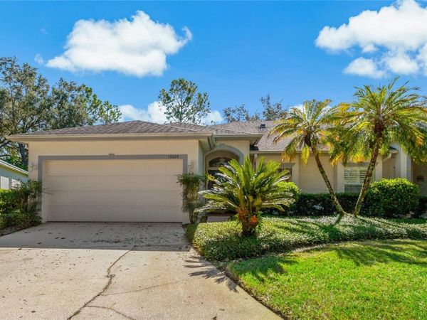 19029 CALLAWAY COURT , TAMPA, FL 33647