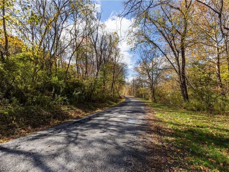 51345 Little Mcmahon Creek Road , Saint Clairsville, OH 43950 Photo 13