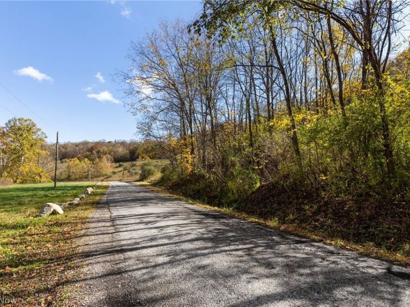 51345 Little Mcmahon Creek Road , Saint Clairsville, OH 43950 Photo 14