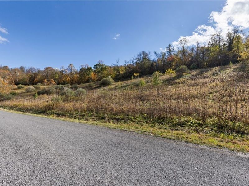 51345 Little Mcmahon Creek Road , Saint Clairsville, OH 43950 Photo 2