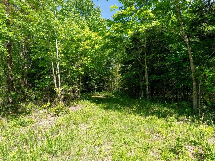 Property Image 27