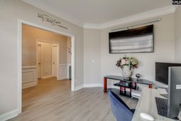 613 Scarlet Baby Drive photo 4
