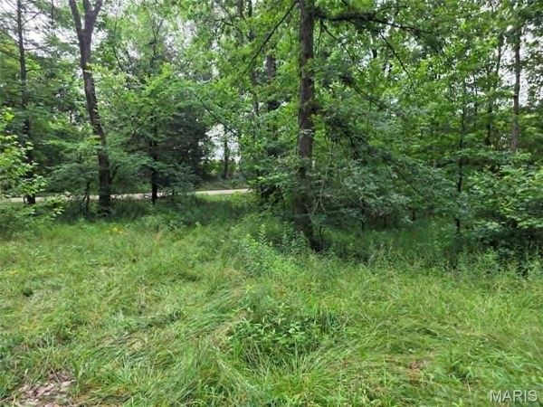 951 County Road 514 , Wappapello, MO 63966