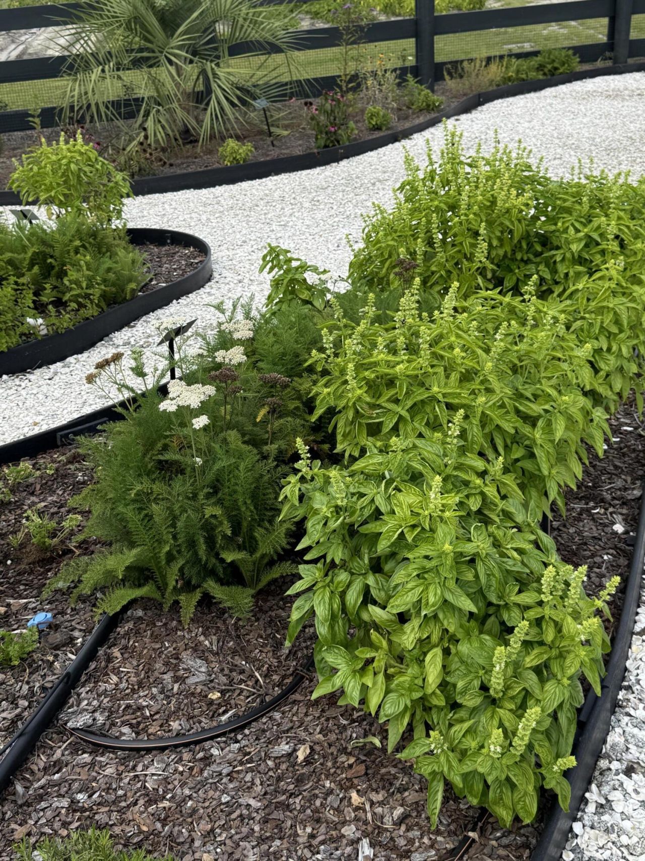 88 French Gdn Circle Photo 47